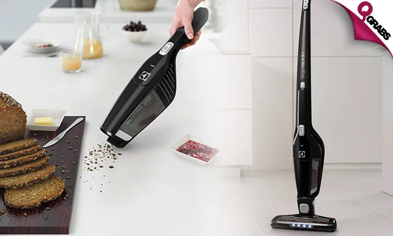 2-in-1 Electrolux Ergorapido Portable Vacuum Cleaner!